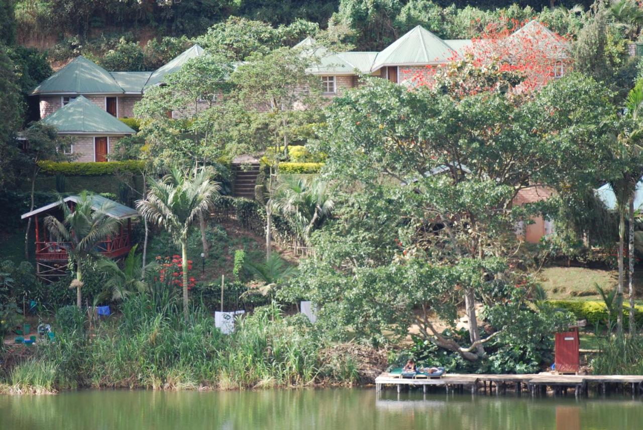 Crater Bay Cottages Kabale Eksteriør bilde