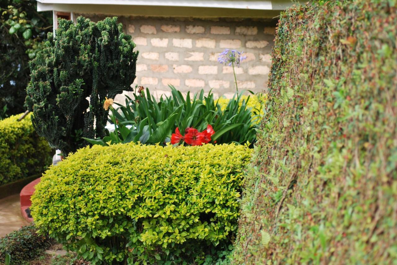 Crater Bay Cottages Kabale Eksteriør bilde