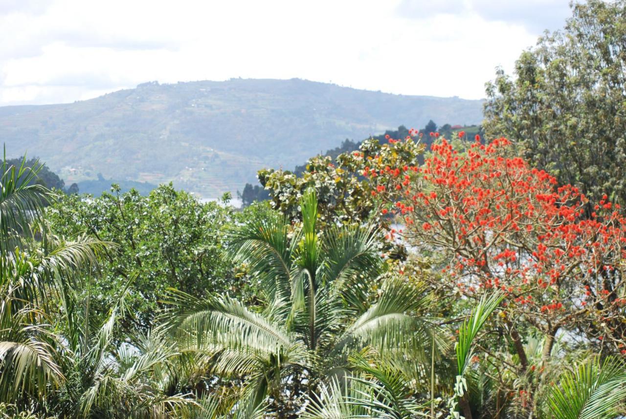 Crater Bay Cottages Kabale Eksteriør bilde