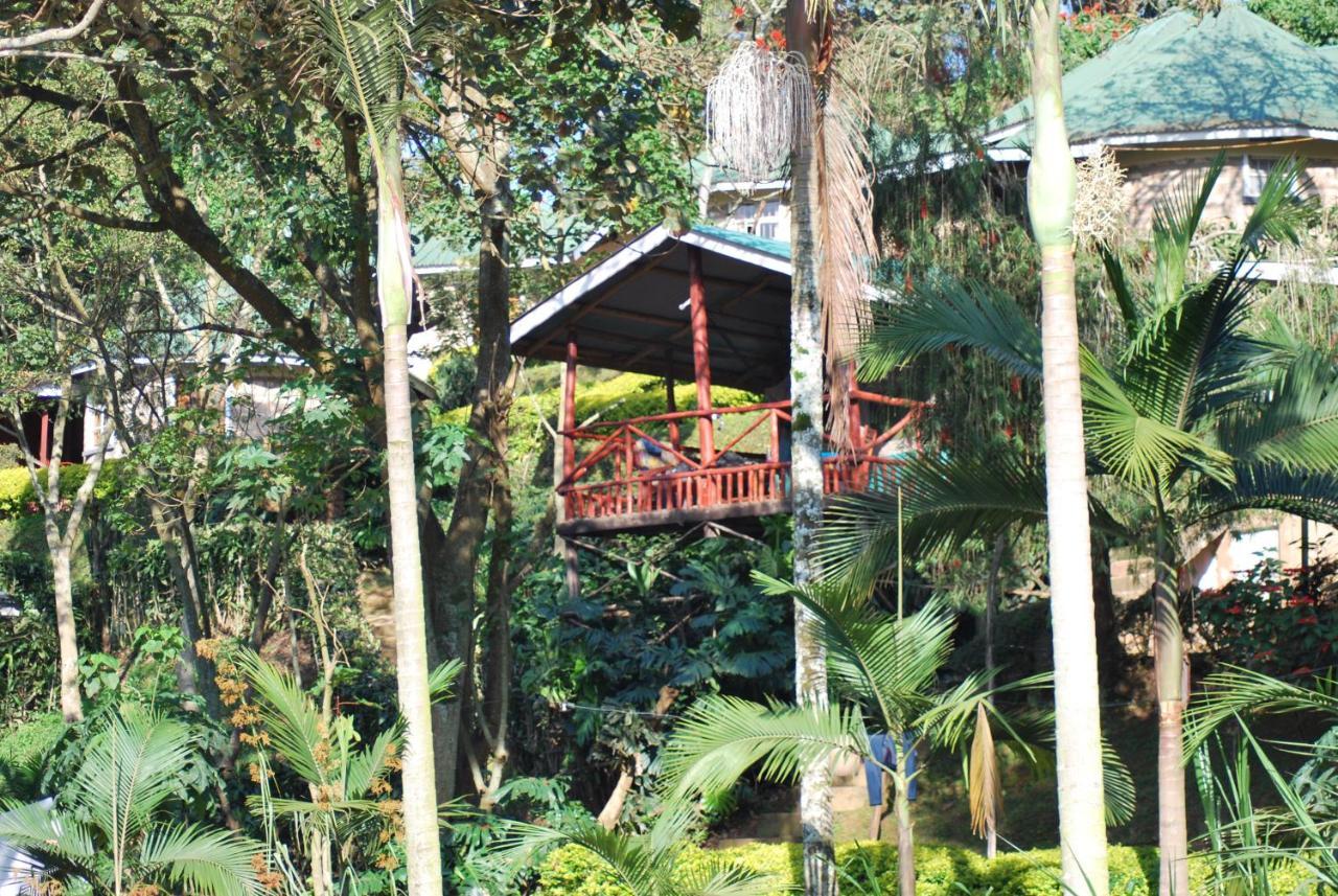 Crater Bay Cottages Kabale Eksteriør bilde