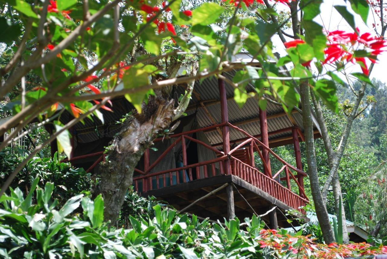 Crater Bay Cottages Kabale Eksteriør bilde