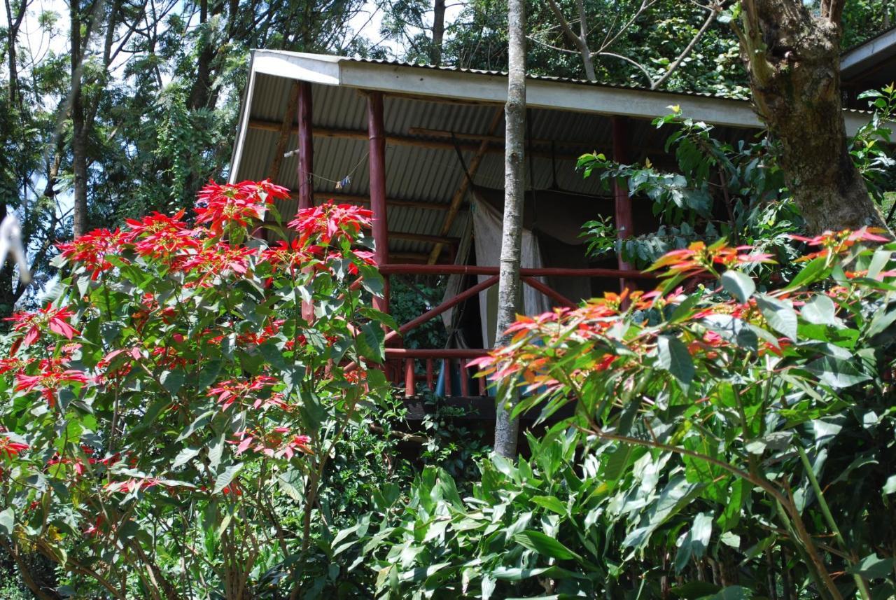 Crater Bay Cottages Kabale Eksteriør bilde
