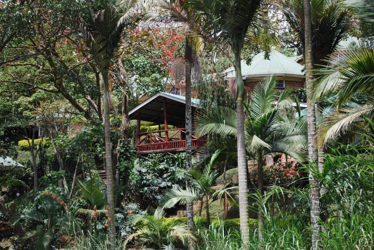 Crater Bay Cottages Kabale Eksteriør bilde